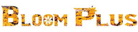 Bloom plus led logo